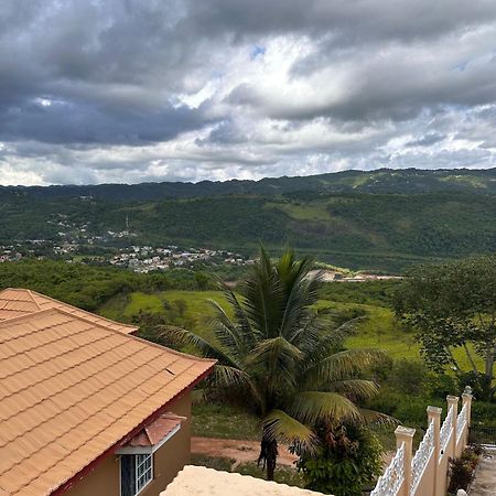 מנדוויל Lion'S View Bed & Breakfast מראה חיצוני תמונה